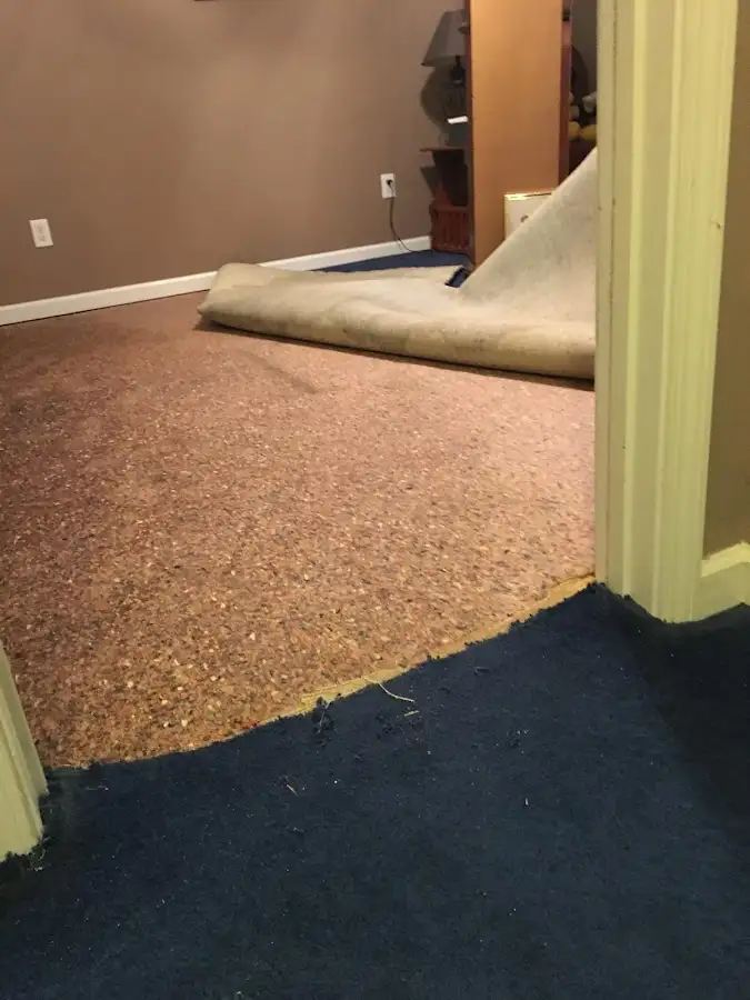 Carpet pad removal revealing water damage during Drying & Dehumidification in Jackson